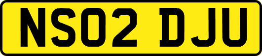 NS02DJU