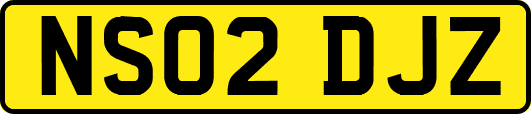 NS02DJZ
