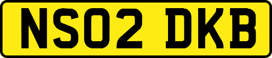 NS02DKB