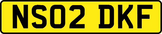 NS02DKF