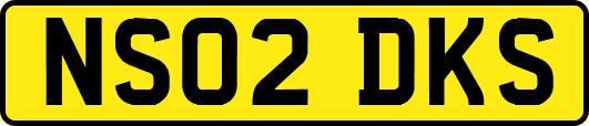 NS02DKS