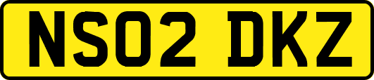 NS02DKZ