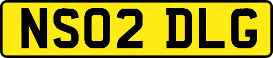 NS02DLG