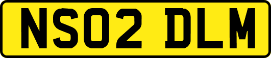 NS02DLM