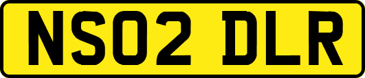 NS02DLR
