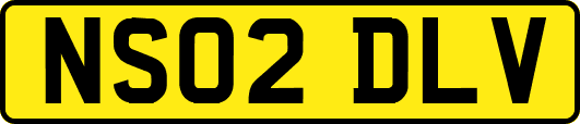 NS02DLV