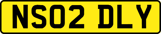 NS02DLY