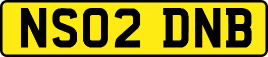 NS02DNB