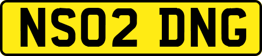 NS02DNG