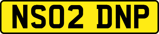 NS02DNP