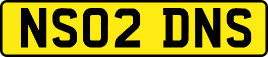 NS02DNS