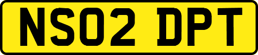 NS02DPT