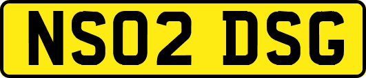 NS02DSG