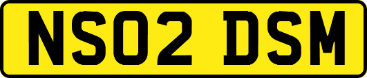 NS02DSM