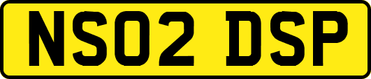 NS02DSP