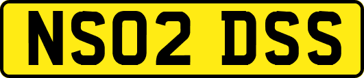 NS02DSS