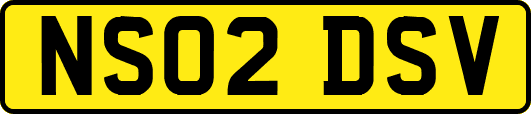 NS02DSV