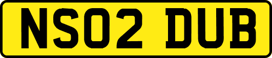 NS02DUB