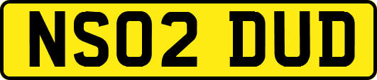NS02DUD