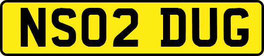 NS02DUG