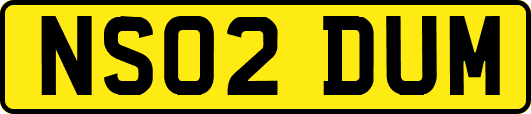 NS02DUM