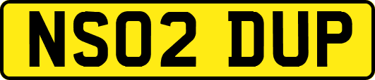 NS02DUP