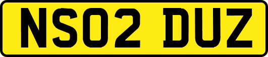 NS02DUZ