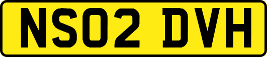 NS02DVH