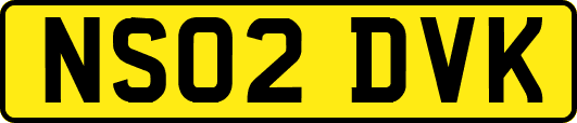 NS02DVK