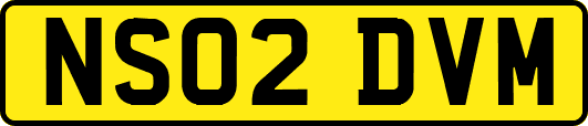 NS02DVM