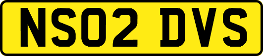 NS02DVS