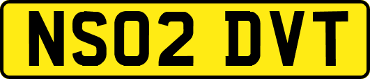 NS02DVT