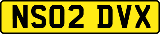 NS02DVX