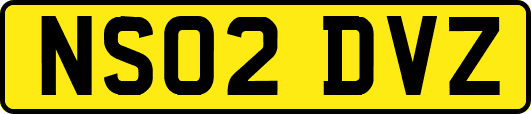 NS02DVZ