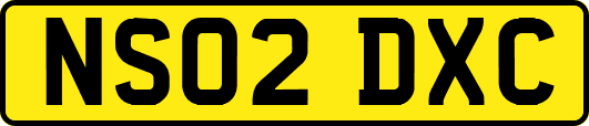 NS02DXC