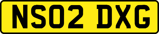 NS02DXG