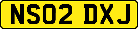 NS02DXJ