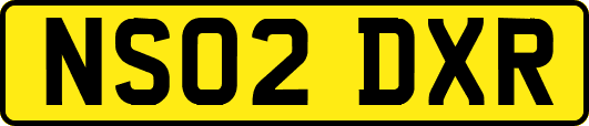 NS02DXR