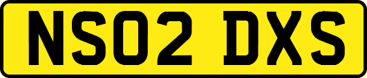 NS02DXS