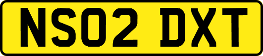 NS02DXT
