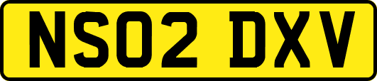 NS02DXV