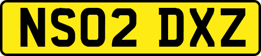 NS02DXZ
