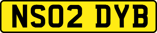 NS02DYB