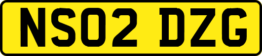 NS02DZG