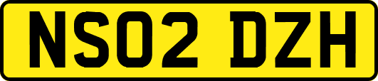 NS02DZH