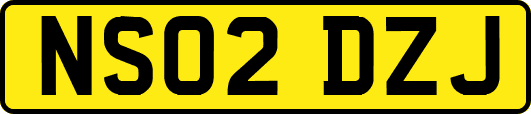 NS02DZJ