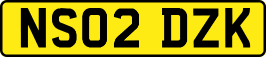 NS02DZK