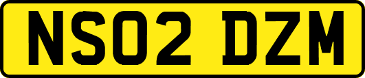 NS02DZM