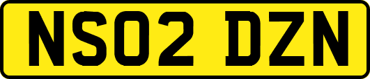 NS02DZN