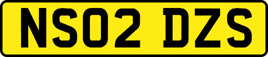 NS02DZS